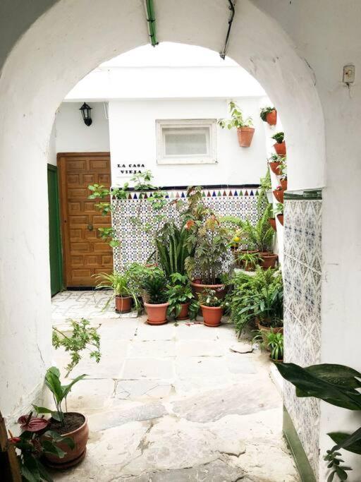 Casa Perla Blanca - A Hidden Gem In The Old Town Lägenhet Tarifa Exteriör bild